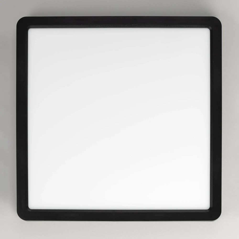 Citilux Бейсик CL738K241V LED Светильник накладной Чёрный