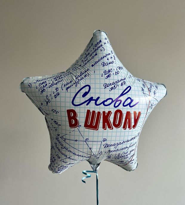 Шар (19''/48 см) Звезда, Снова в Школу, 1 шт.