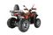 Квадроцикл YACOTA Sela 200 MAX