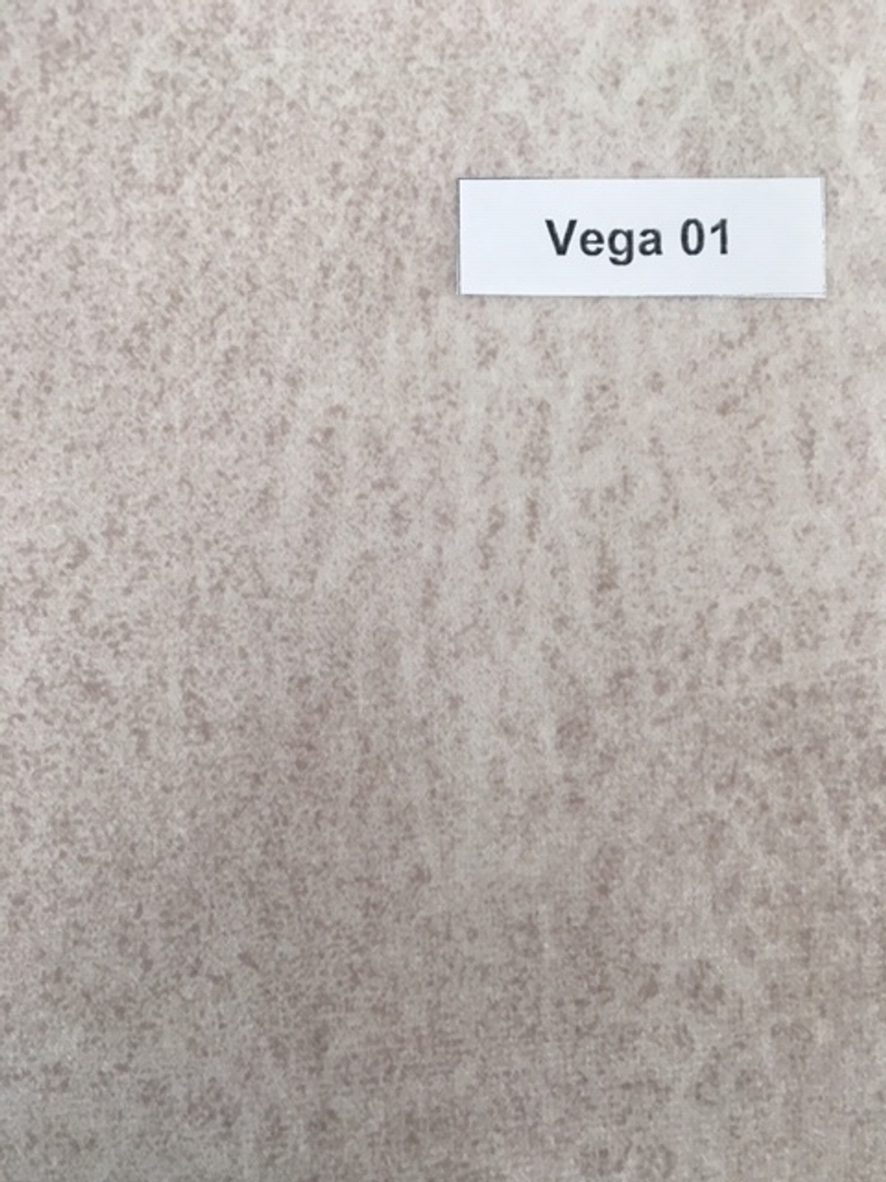 Vega 01