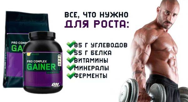 Из чего состоит качественный гейнер: как выбрать продукт, который поможет набрать мышечную массу Из чего состоит качественный гейнер: как выбрать продукт, который поможет набрать мышечную массу