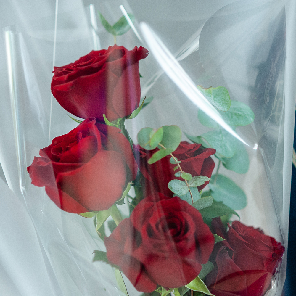 Букет из 5 роз Эквадор с эвкалиптом