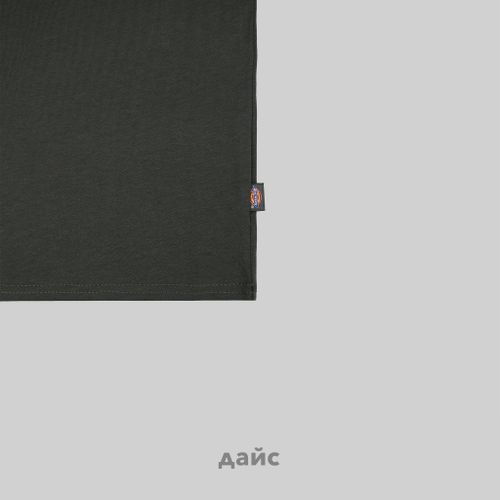 Футболка мужская Dickies Mapleton артикул:DK0A4XDBOGX1 - купить в магазине Дайс