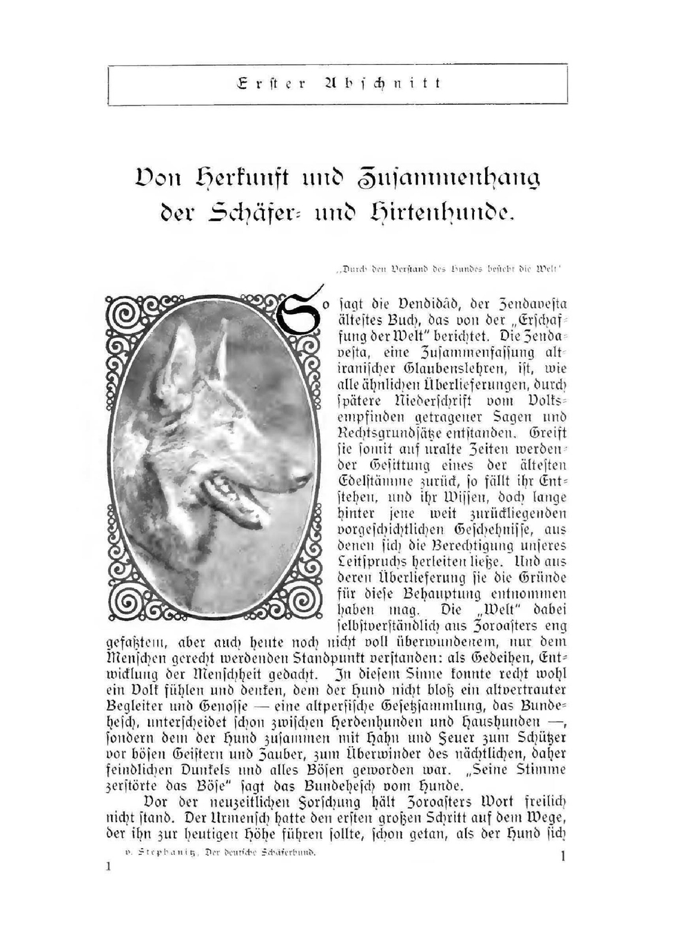 Der deutsche Schäferhund in Wort und Bild | Max von Stephanitz