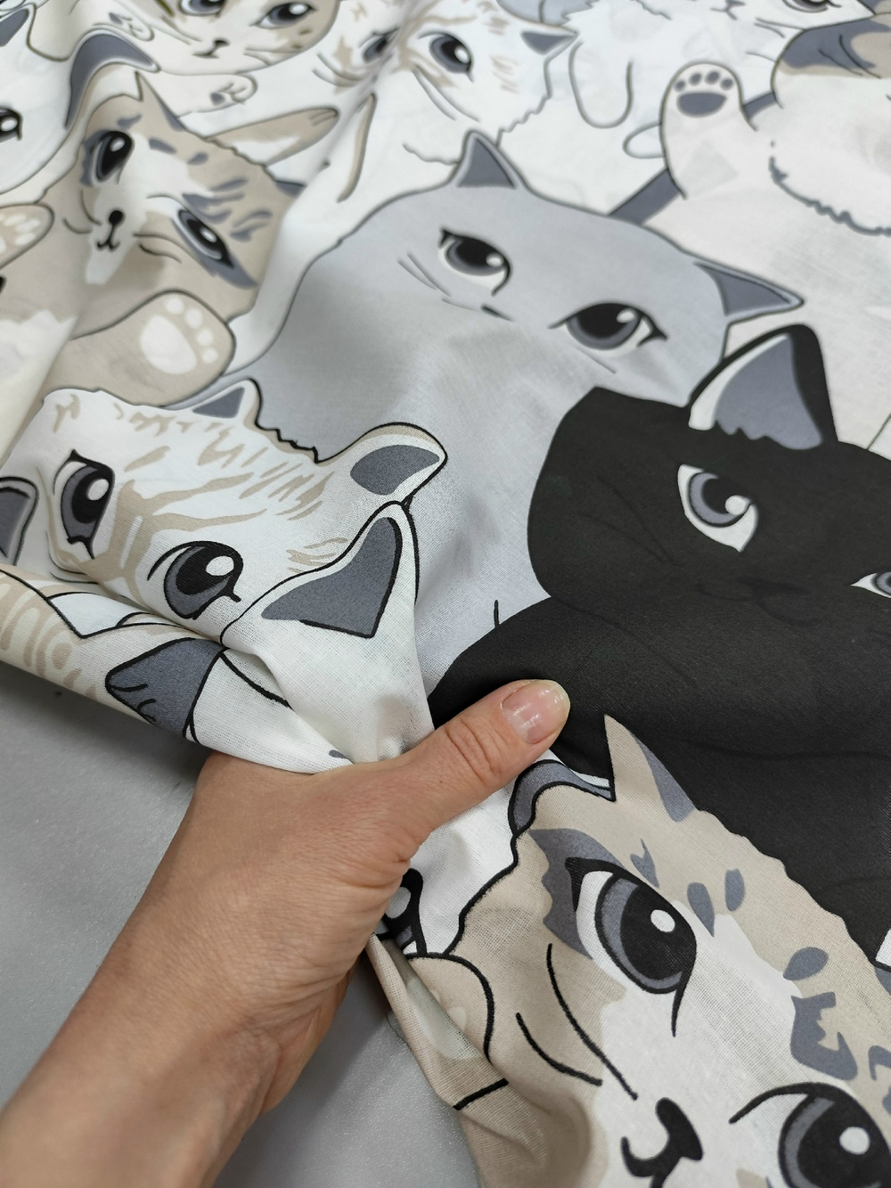 Поплин / Феликс