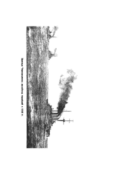 Два боя | М.А. Петров