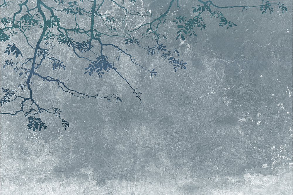 Коллекция VETVE