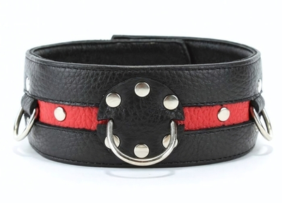 Черно-красный ошейник на пряжке (Цвет: черный с красным)