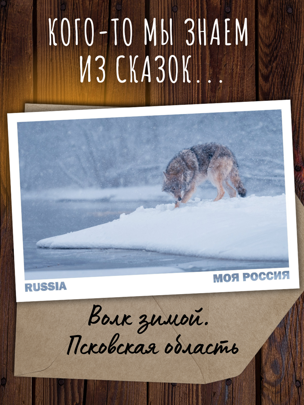 Моя Россия. Звери