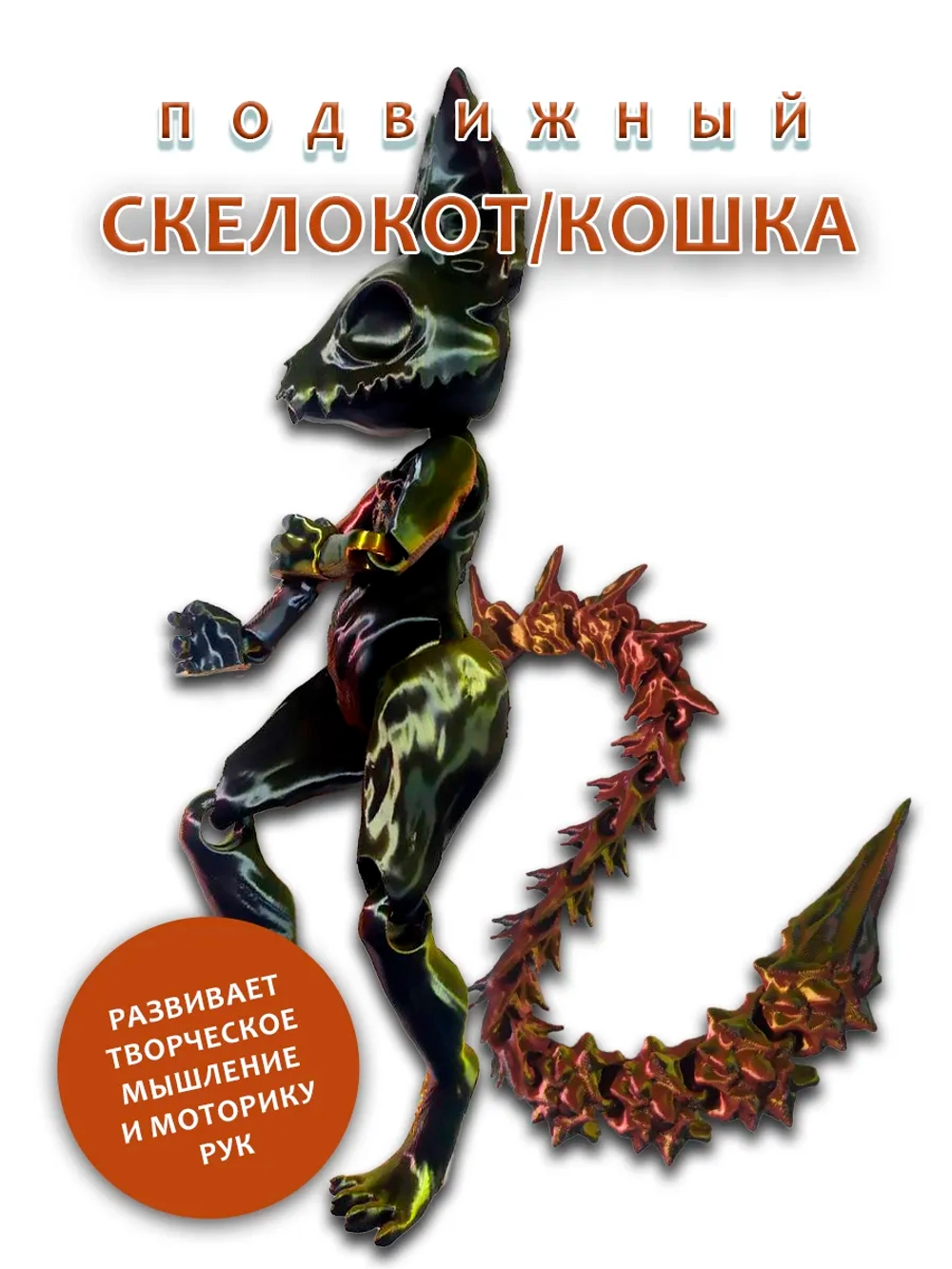 Скелет Кошки