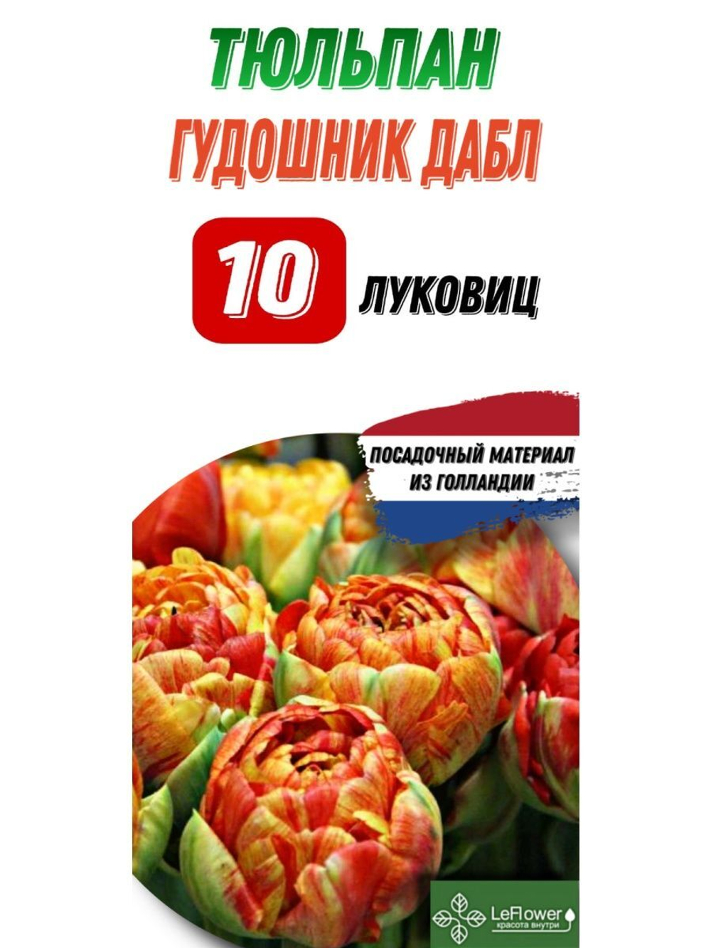 Тюльпан Луковица, Гудошник Дабл, 10шт