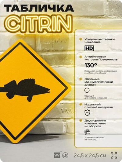 Табличка декоративная "Судак" на дверь и стену, информационная и предупреждающая, декоративный знак, 24,5х24,5 см, пластиковая, Айдентика Технолоджи