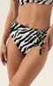 42386 ZIBRAZ/01X Трусы купальные