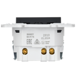 SKANDY Розетка с заземлением с защитными шторками 16А с USB C 18Вт SK-R17G графит IEK