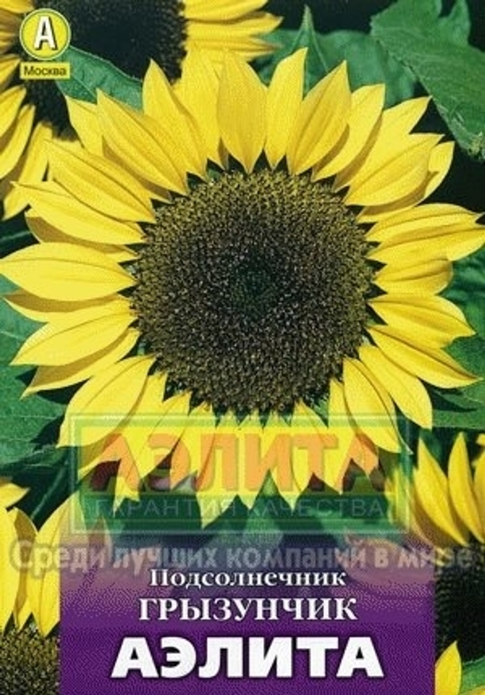Подсолнечник Грызунчик (Аэлита) 5г