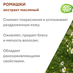 Экстракт ромашки, масляный