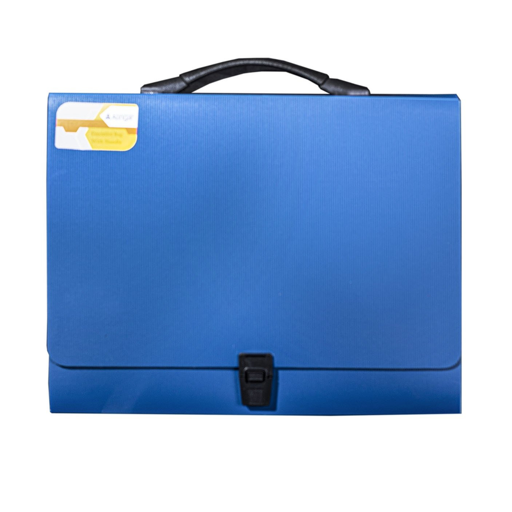 Папка-портфель на застежке Alingar, А4 360х265х40 мм, пластиковая, 800 мкм, ассорти, матовая, карман для визитки, "Flossy"