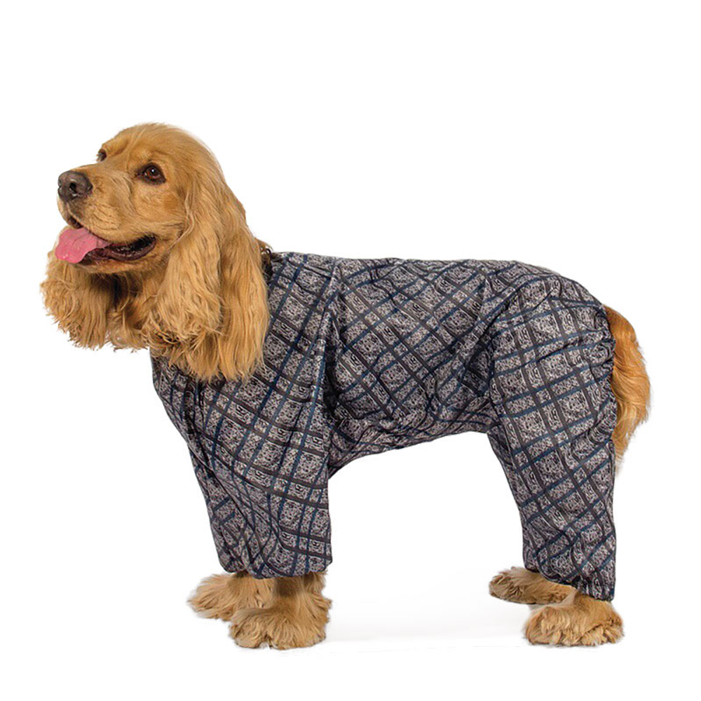 Комбинезон демисезонный "Кокер", 37см, Gamma