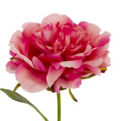 GAEM Цветок искусственный "Пион" (Real Touch), L12 W12 H56 см
