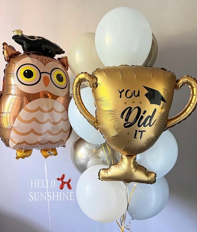 Набор шаров школьнику №2