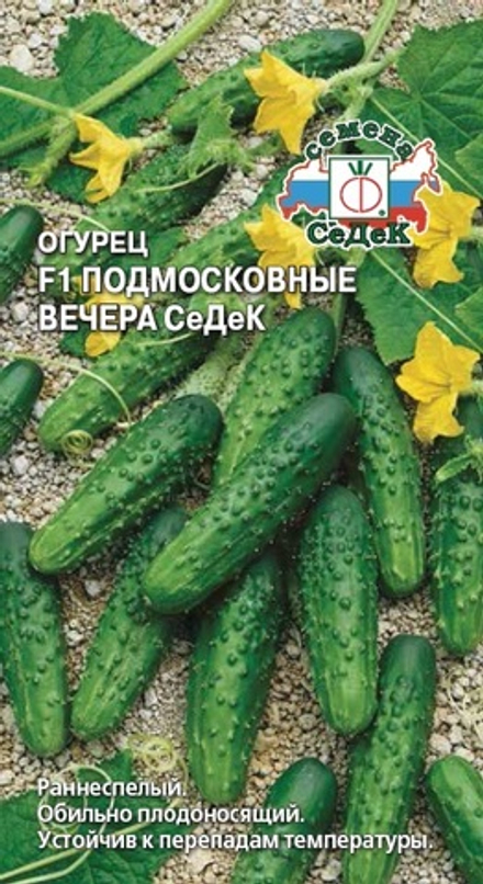 Огурец Подмосковные вечера СеДеК F1 Седек