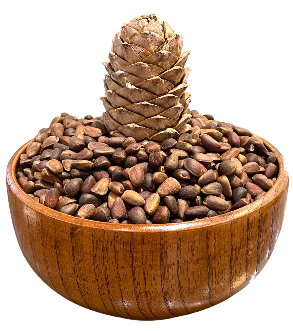 Байкальский кедровый орех