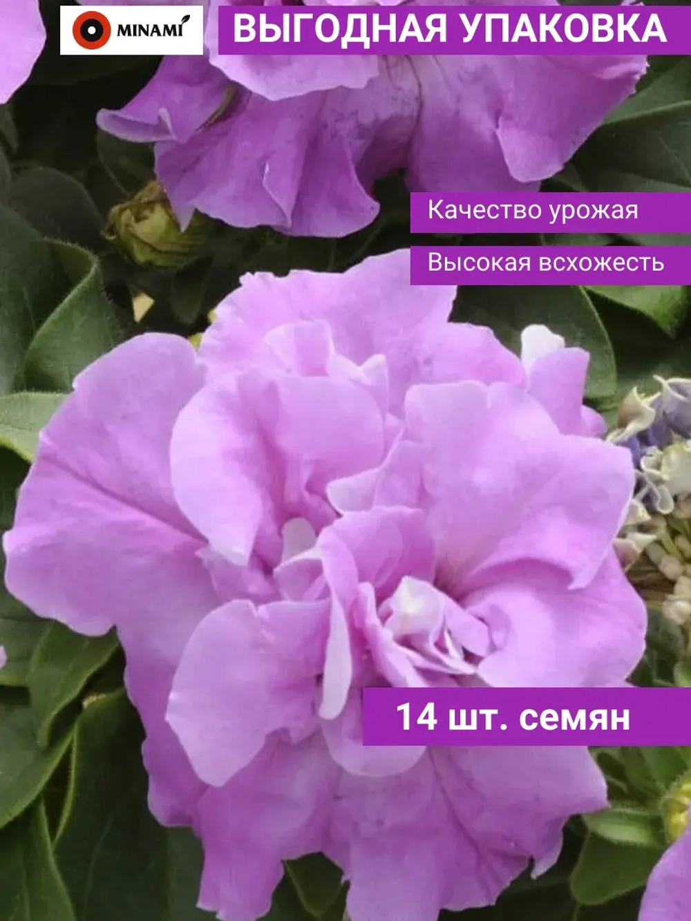 Петуния махровая многоцветковая Дуо F1 Лавандер