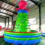 Скалодром "Солнечный осьминог" 5*5*4 м