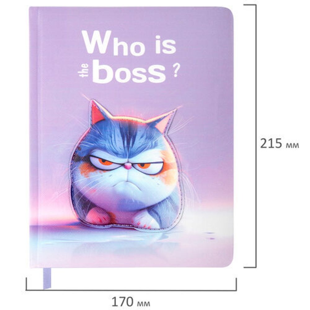 Дневник 1-11 класс 48 л., обложка кожзам (твердая с поролон), 3D-элемент, BRAUBERG, "Суровый кот", 107221