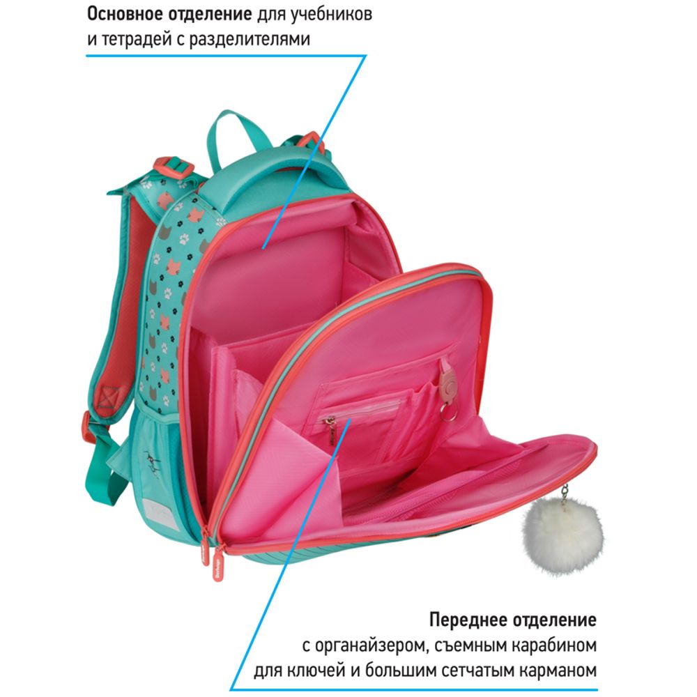 Ранец Berlingo Expert Max Kittens green 37х28х16см, 2 отд., с анат. спинкой + дождевик
