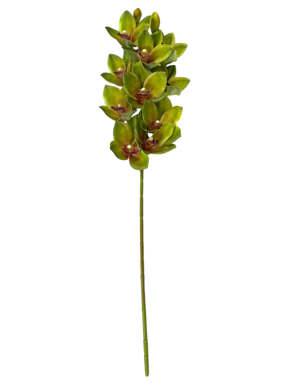 Орхидея Цимбидиум ветка зеленая 73 см