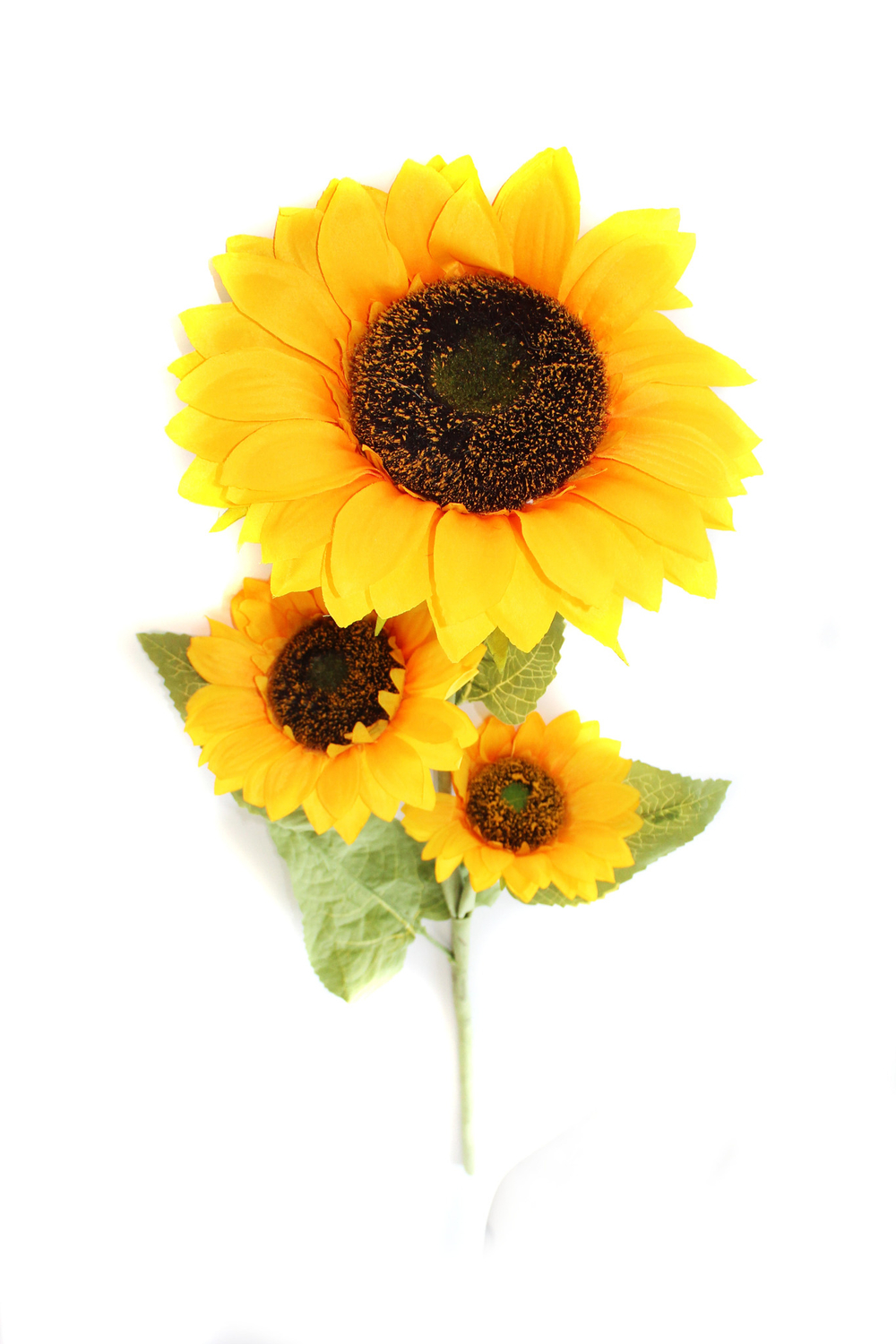 Подсолнух одиночный 3 головы
