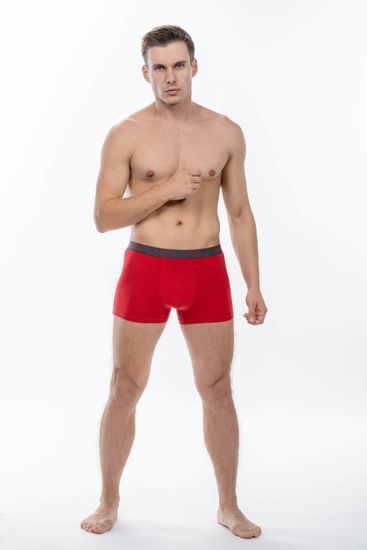 Трусы-боксеры WEZEGE HR-4141, 3 шт. в уп.