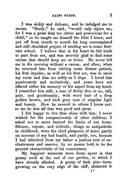 Daisy Burns. Volume 1 | Kavanagh Julia