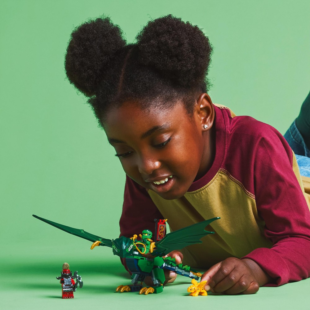 Конструктор LEGO Ninjago 71829 Зелёный лесной дракон Ллойда — фото 9