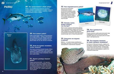 Подводный мир. Школьная энциклопедия 200 вопросов и ответов