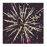 Батарея салютов Русский Фейерверк Шампусик P7282, 25 залпов, разноцветный 12.5 см 13 см