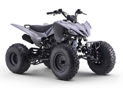 Квадроцикл SHARMAX Raizer Race Cup 250