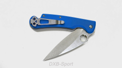 Daggerr Sting Blue SW