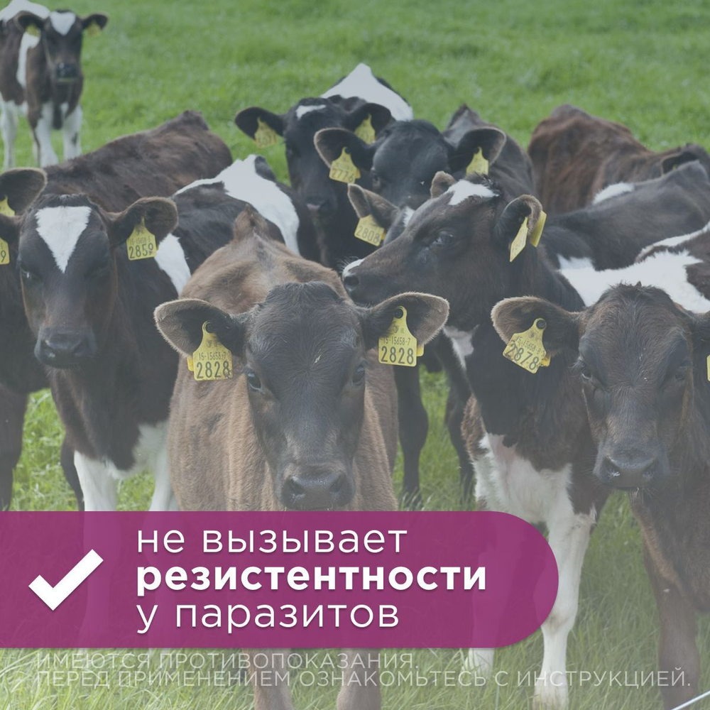 Раствор для инъекций от паразитов для сельскохозяйственных животных Аверофарм (Pharmbiomed), 400мл Аверсектин С