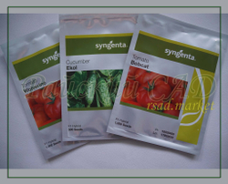 Огурец Эколь F1 / AKOL F1 Syngenta 5шт.