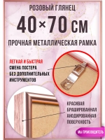 Металлическая рамка для постера 40х70 см