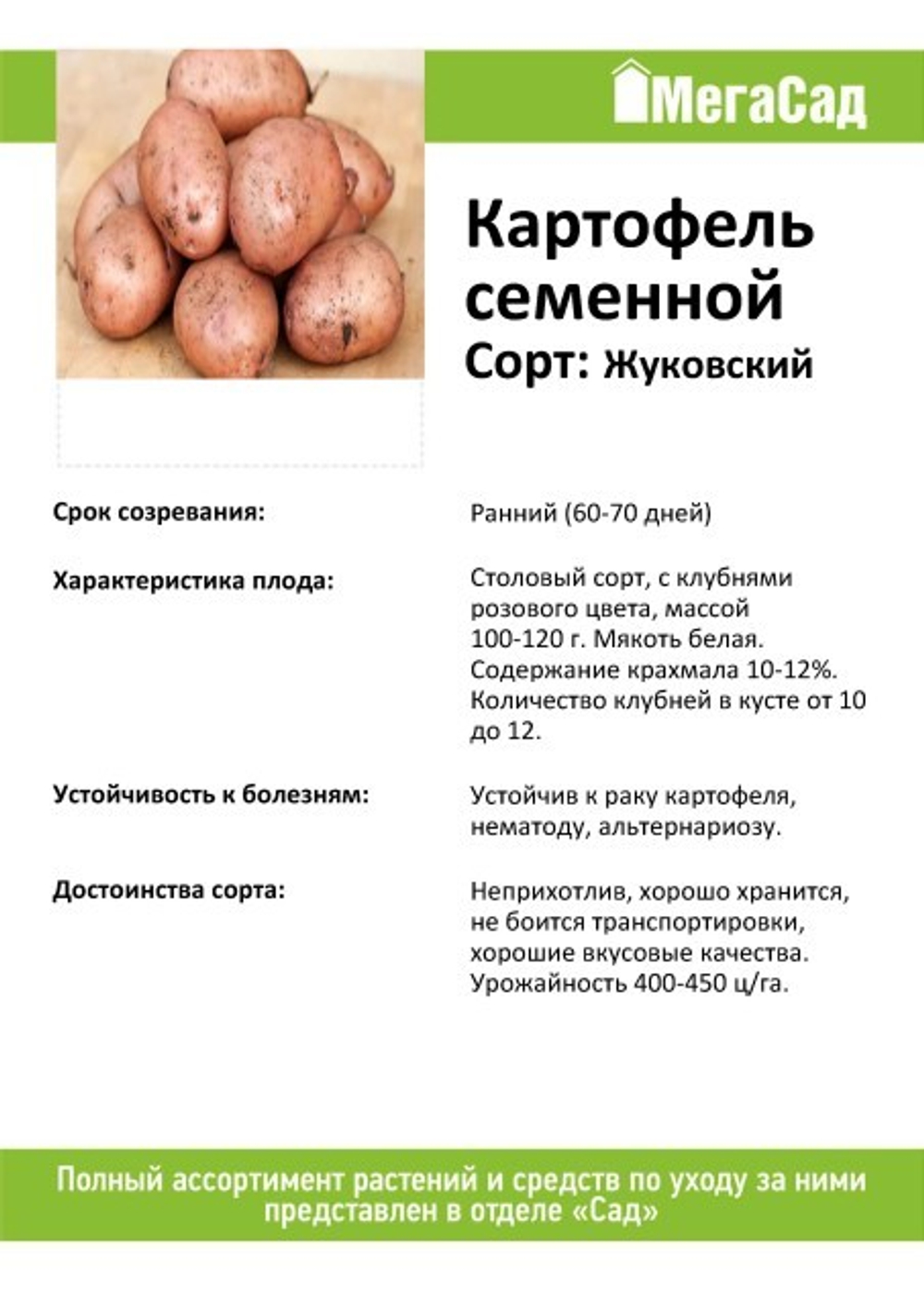 Картофель семенной 2кг сорт Жуковский Скороспелый