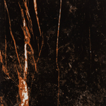 Керамогранит Lavelly Marble Nero черный полированный 600х600х8,2 мм (4 шт.=1,44 кв.м)