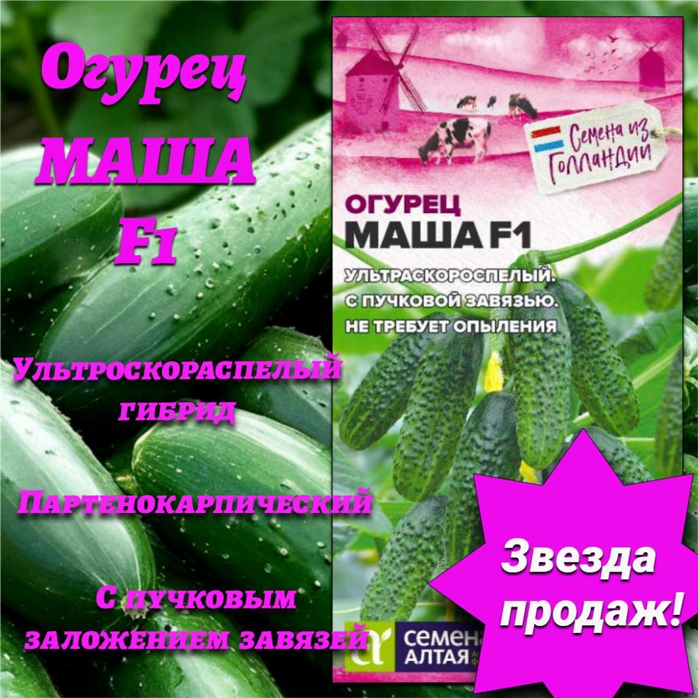 Огурец Маша F1(5семян). Семена Алтая.