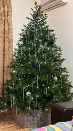 Ель искусственная «Вега» (Литая хвоя) 250 см / 2,5 м