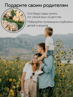 топинамбур клубни