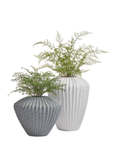 Композиция с папоротниками в кашпо Treez Effectory Moho