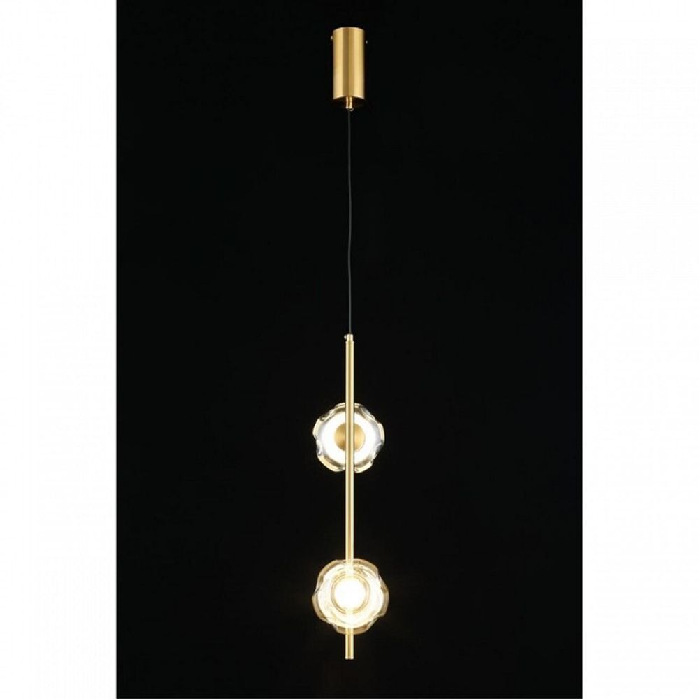 Подвесной светильник Aployt Tereze APL.074.06.02