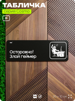Табличка Осторожно! Злой геймер, шуточная прикольная табличка на дверь и стену черная, для офиса и дома, серия COSMO FUN, 30х10 см, Айдентика Технолоджи